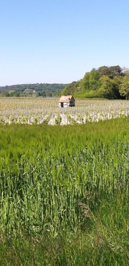 سان جورج-سور-شير Le Clos De La Chesneraie المظهر الخارجي الصورة